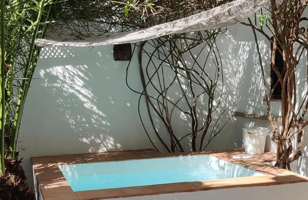 Patio Del Olivo-1